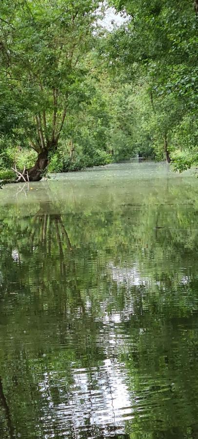 L'Enclos Bleu, Gite - Marais Poitevin Avec Piscine Chauffee Chaille-Les-Marais Exteriér fotografie